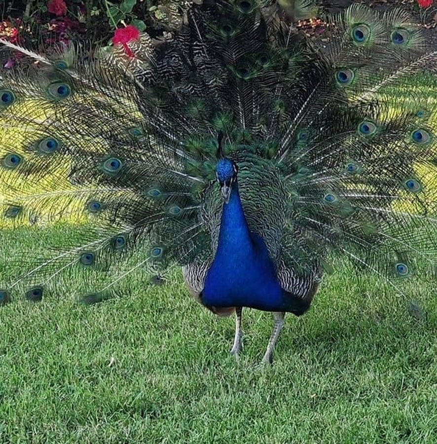 Photo 06-07-2023, 16 17 50