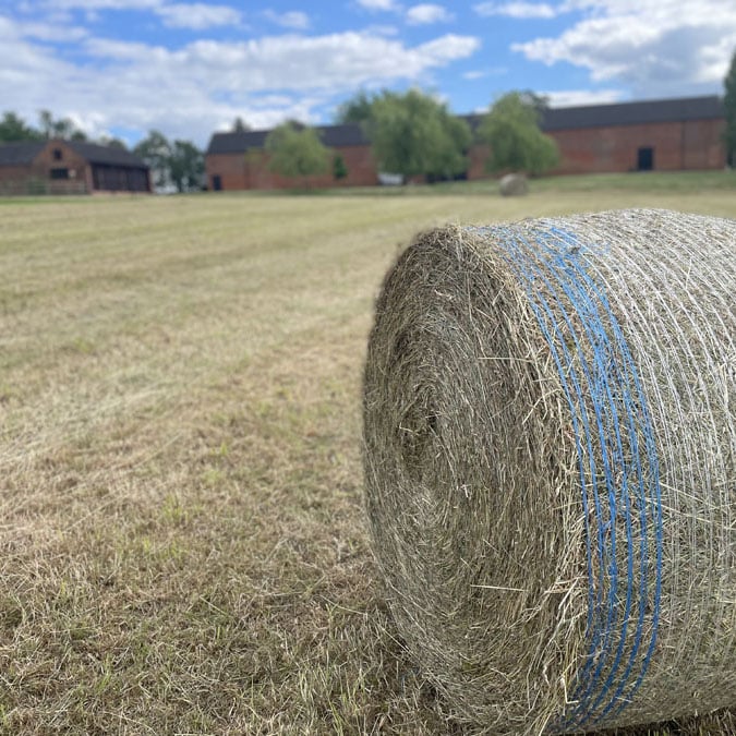 Photo 24-06-2023, 16 37 36